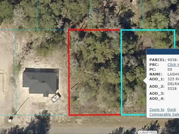 (undisclosed Address), Ocklawaha, FL 32179