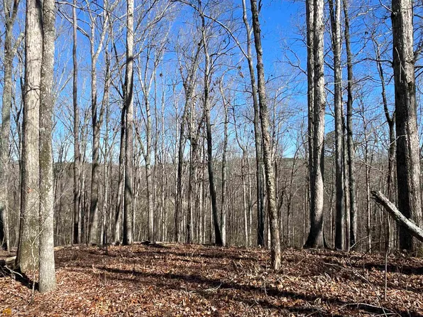 0 Cemetery Rd, Grantville, GA 30220