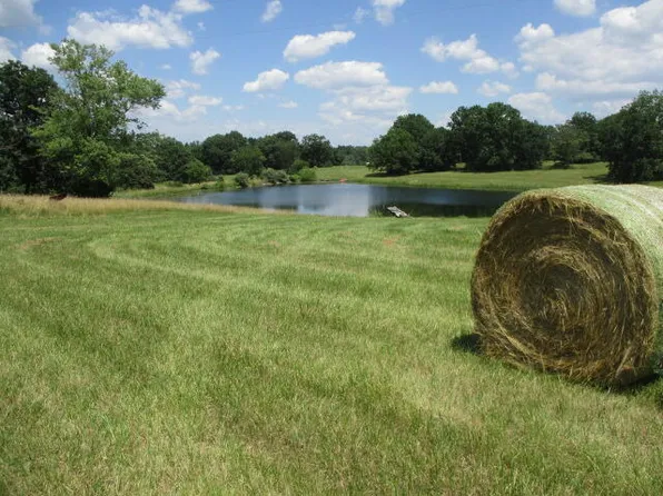 1065/AC N Highway Bay Tract 4, Centralia, MO 65240