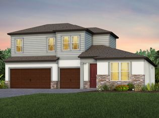 Mahogany Grand Plan, Vida's Way, Wesley Chapel, FL 33545