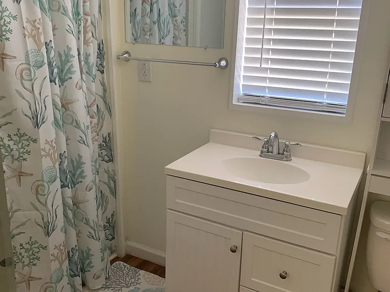 Downstairs bathroom (walk-in shower)