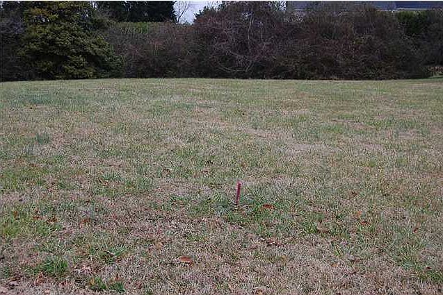 1st image of 260 Stephenson Ave
