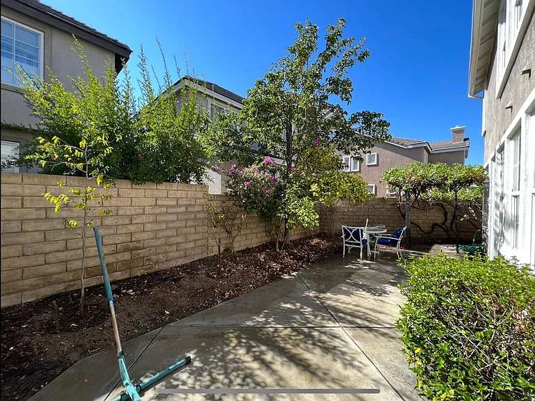Backyard view