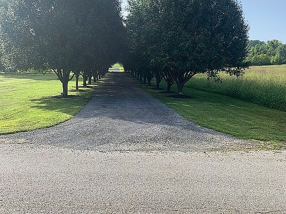 STREET VIEW OF DRIVEWAY