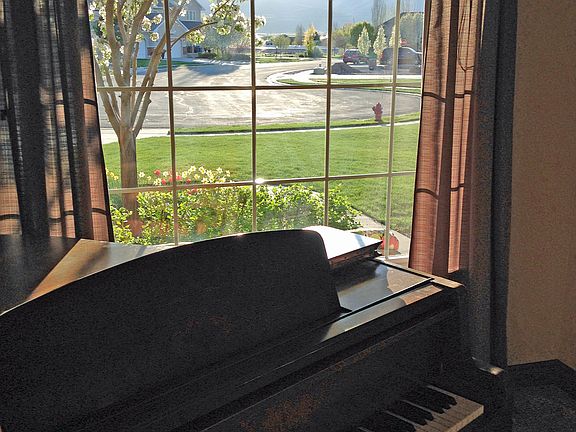 View from front window