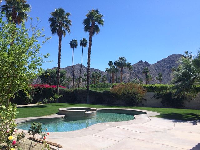 breathtaking backyard view 