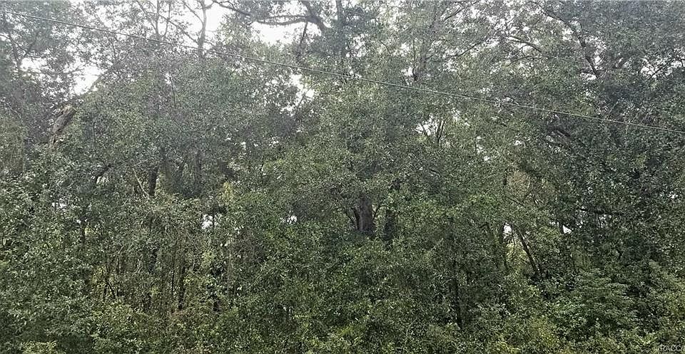 2nd image of 2140 W Beach Plum Dr