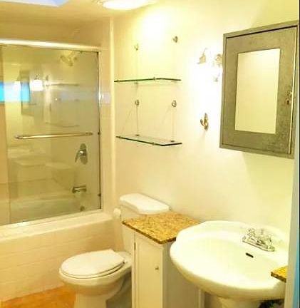 Bright bathroom with jacuzzi tub, skylight, granite counters