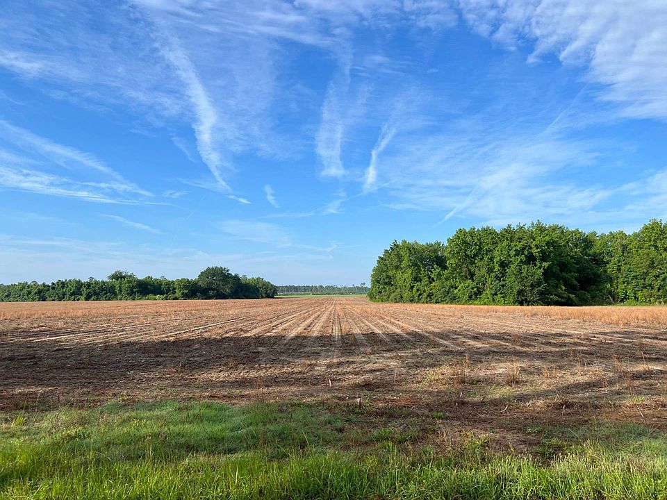 0 Lebanon Rd, Estill, SC 29918 MLS 11187909 Zillow