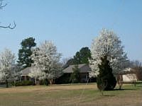 2nd image of 810 Lockhart Rd