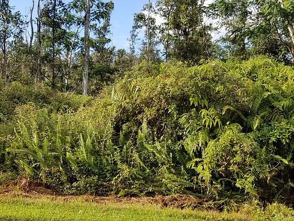 5th image of Kahukai St Lot 23