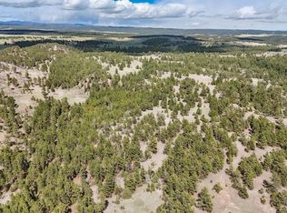 20 S Mill Rd, Custer, SD 57730