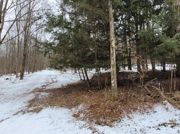 E Elk Forest Dr, Waymart, PA 18472