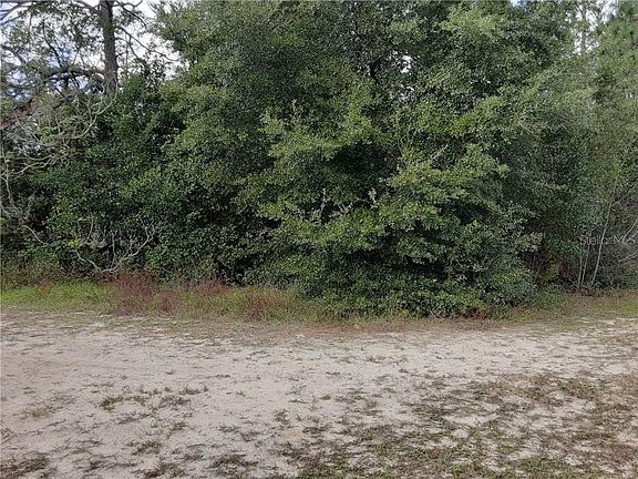 2nd image of 9502 N Deltona Blvd