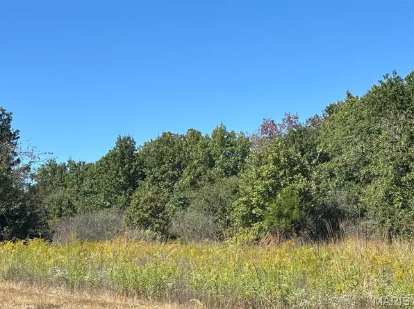 15 Olivia Ln, Perry, MO 63462