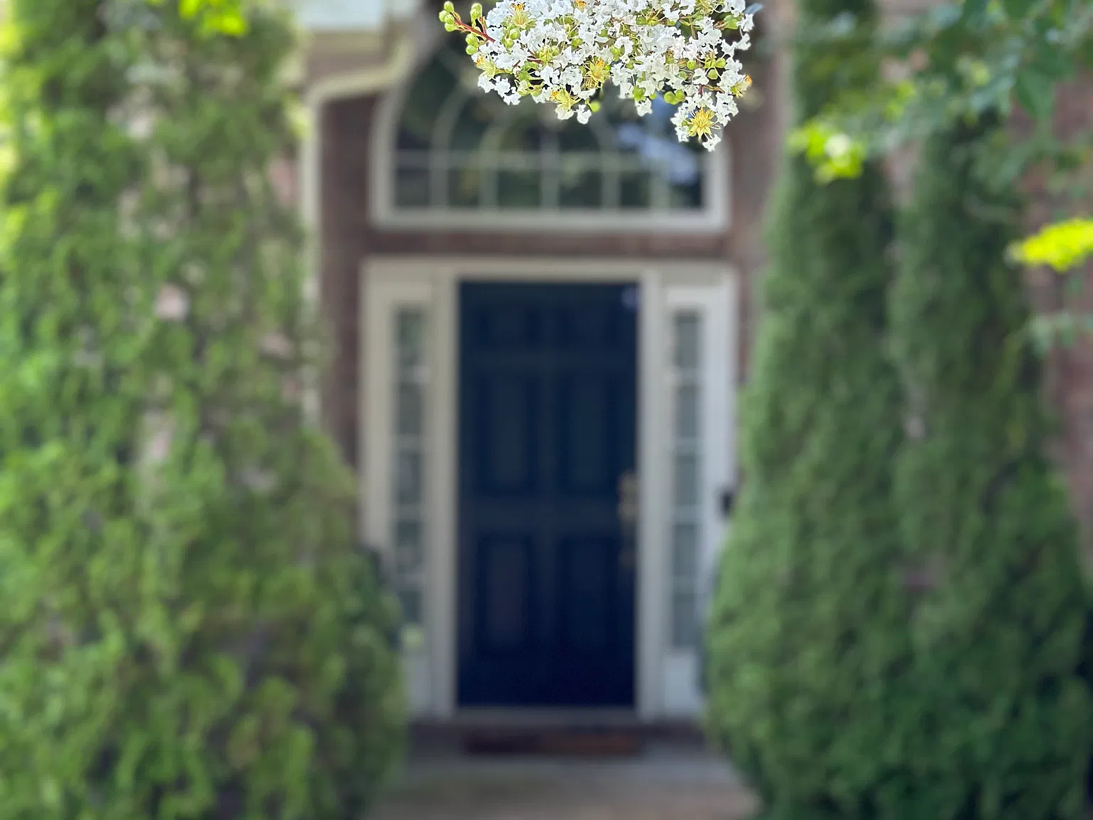 4 bed, 3600 sqft, $3,400 — Photo 1