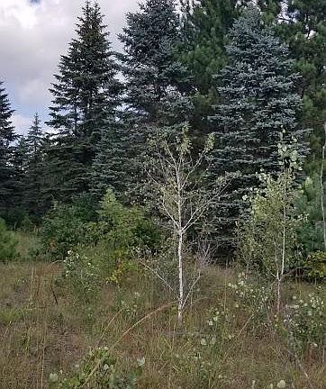 2nd image of Xxx Marget Lake Road Bradford Twp