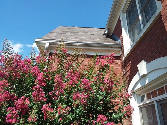 2nd image of 4329 Catamount Dr #4329