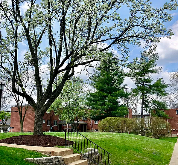 Exterior Green Space