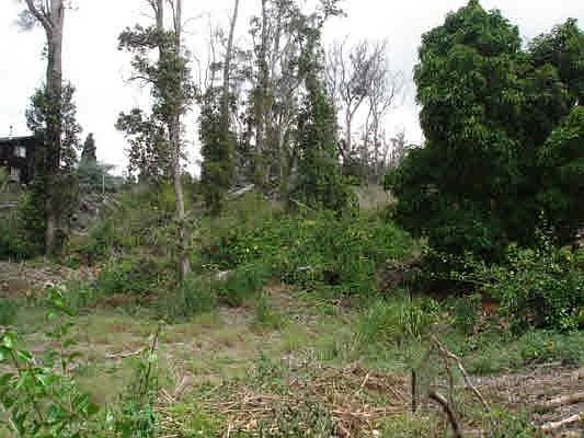 2nd image of Palm Pkwy Lot 12