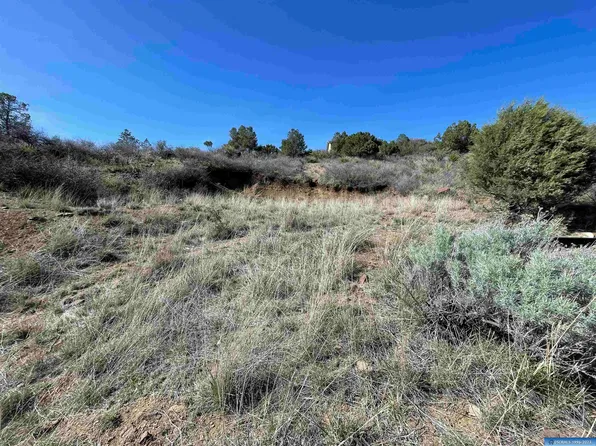 Arrowhead Rd, Silver City, NM 88061