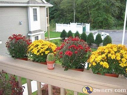 View from the balcony