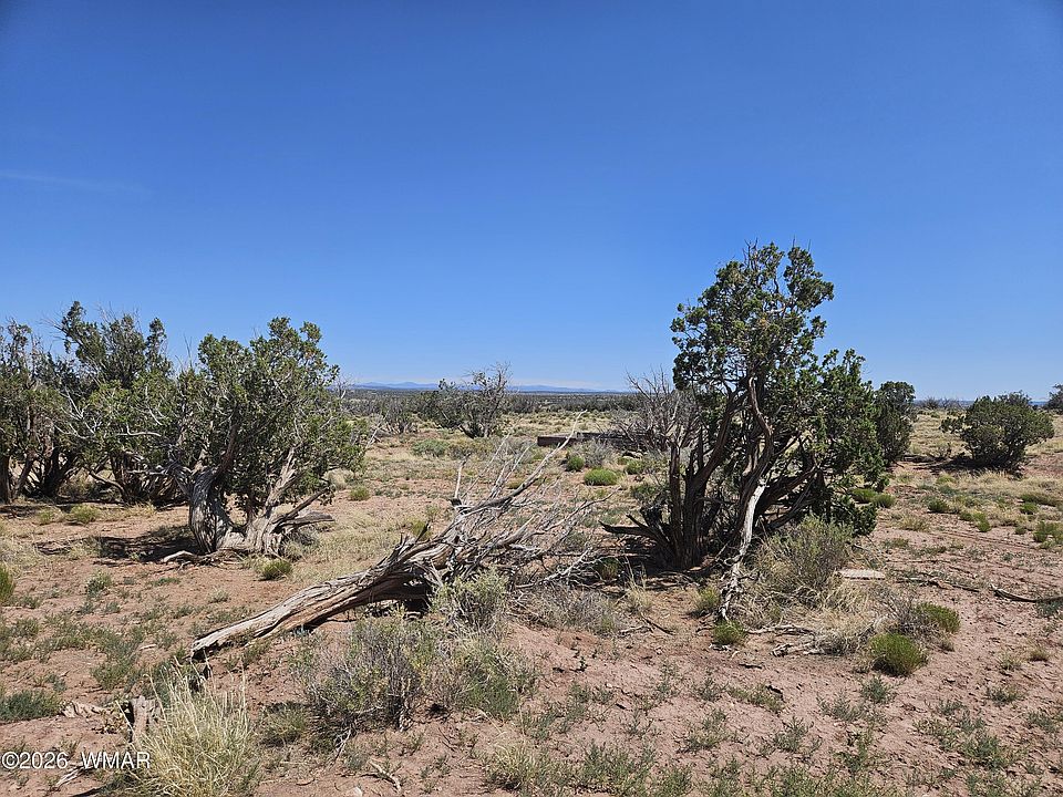 1st image of 8290 El Rancho Trl
