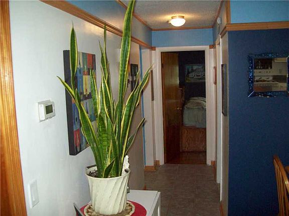 5th image of 14 Spicer St