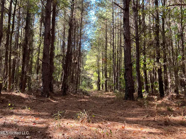 Sandhill Rd, Brandon, MS 39047