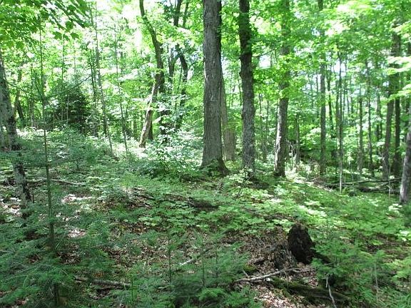 2nd image of LOT 3 Fisher Lake Rd E