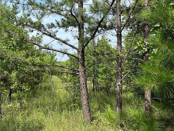 2nd image of TRACT 1 E 1090th Rd