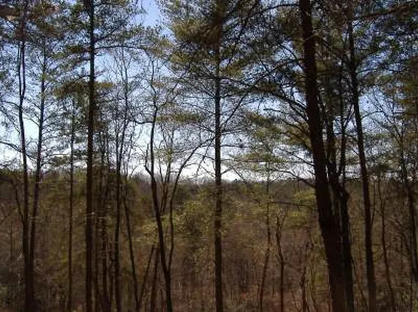 25 Honeysuckle Cir, Blairsville, GA 30512