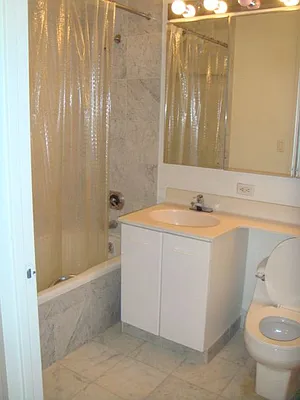 Rented by Furumoto Realty of New York City Inc | media 20