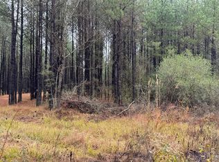 811 Old River Rd, Moselle, MS 39459