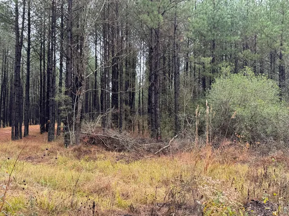 811 Old River Rd, Moselle, MS 39459