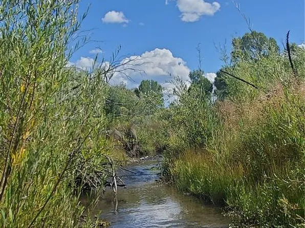 4253 (4235) Ehrenclou Road LOT 4253,4235, Fort Garland, CO 81133