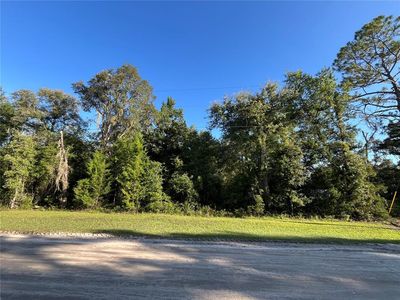 NE 81st St Lot 54, Bronson, FL, 32621