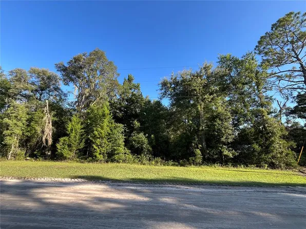 NE 81st St Lot 54, Bronson, FL 32621