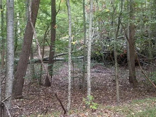 1145 Embry Ct #1145, Ranger, GA 30734