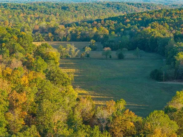 57 Wayne 352, Piedmont, MO 63957