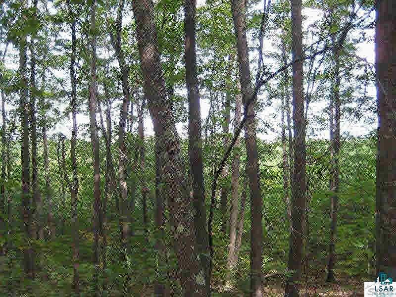 2nd image of xxxxx Fire Tower Rd Lot 1 Fire Hill