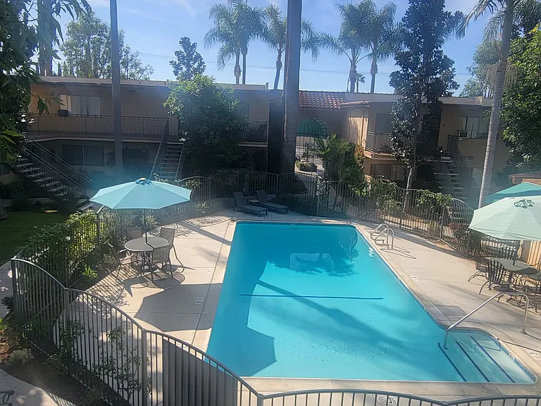 Palm Court Apartments — Photo 9