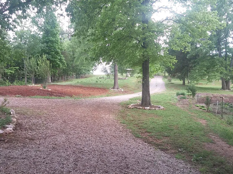 Sharon Rd — Photo 24