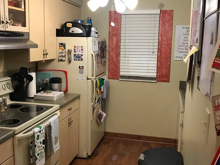 1462 Spreading Oak Dr — Photo 6