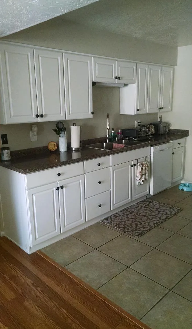 3 bed, 1300 sqft, $1,800 — Photo 3