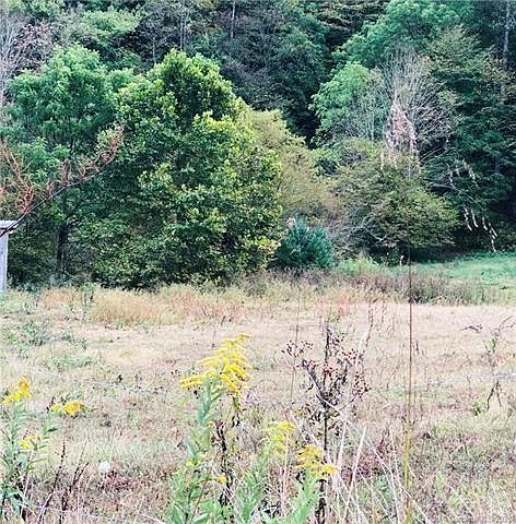 2nd image of 651 Rector Branch Rd