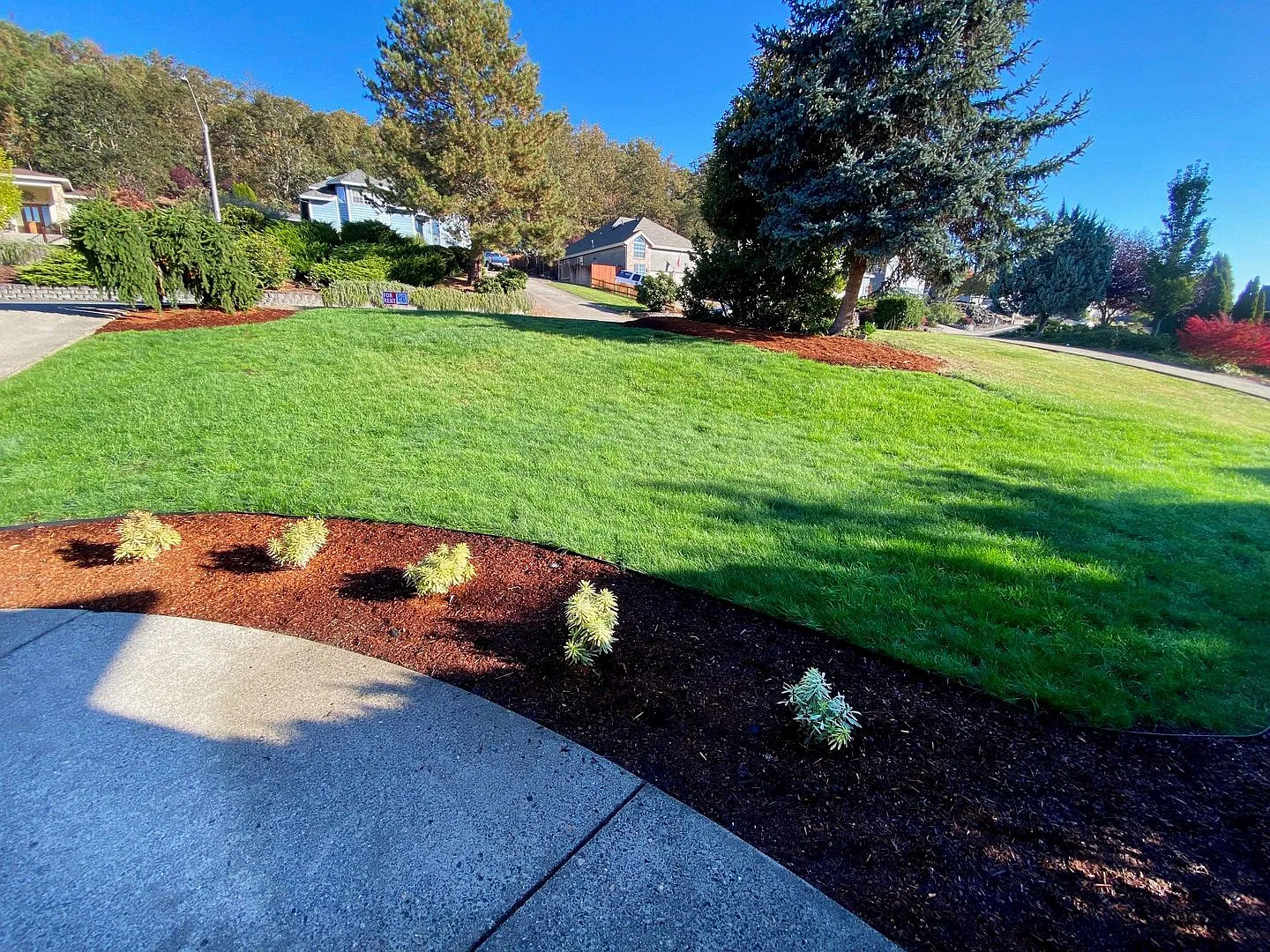 Beautiful Large 4 Bedroom Home in Hucrest! — Photo 3