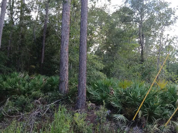 0 Central Lots 9 #7-8-10, Folkston, GA 31537