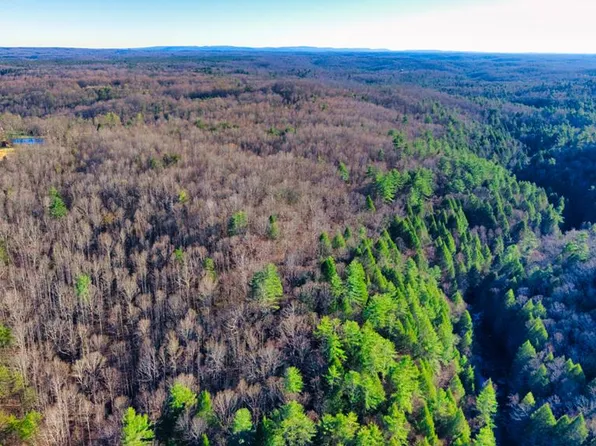 1 Ervin Brown Rd, Sunbright, TN 37872
