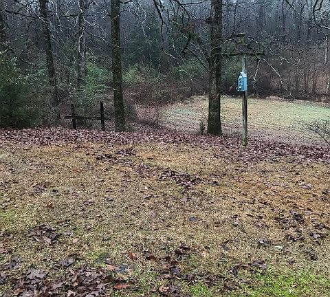 2nd image of 925 Blackmur Dr